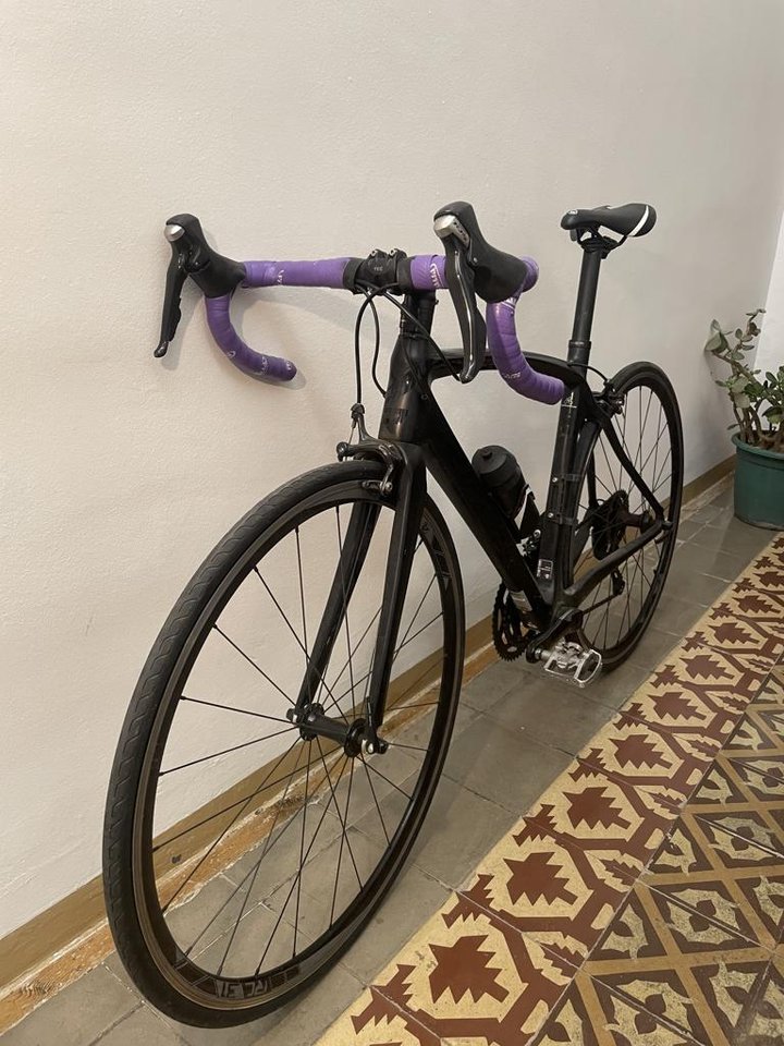 Forza Ridley 24