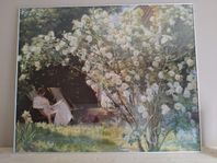 Tavla / poster: "Rosor" av Peder Severin Krøyer