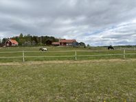 lösdrift