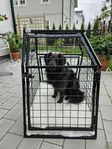 Hundbur Robust 71*75 cm