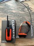 Garmin Alpha 200/Alpha T20