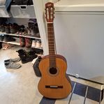 akustisk Levin gitarr