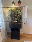 Exoterra Terrarium + 3 korallfingergrodor