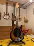 Musicman sting ray