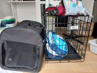 allt till hunden