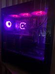 GRYM Gamingdator