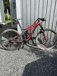 MTB Rockrider XC100