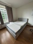 Full Room Bundle: Bed, Sofa, Desk – 6 Months Use, Great De