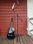 Mikrofon Och Gitarr
