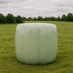 Ensilage