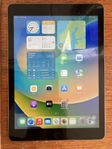 IPad femte generationen