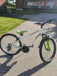 cykel 24"