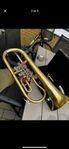 trumpet