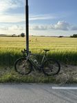 Bottecchia gravel monster