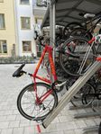 Giant Cycle 