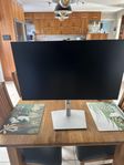Dell P 3231QE