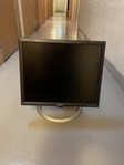 Dell skärm 19”