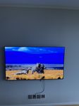 LG CX 65 tum