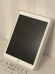 iPad (7th Generation) Wi-Fi
