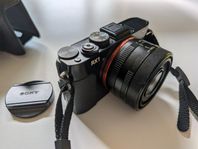 Sony DSC-RX1