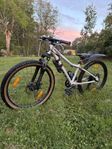 SCOTT SCALE 24 disc silver