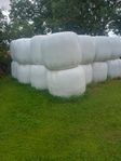 Hösilage ensilage 