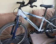 ROCKRIDER ST 120 KIDS MOUNTAIN BIKE, 20-INCH - WHITE/BLUE