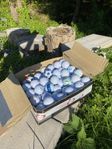 Golbollar - 100pack - Billigt