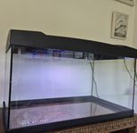 komplett akvarium 57L med nya tillbehör 