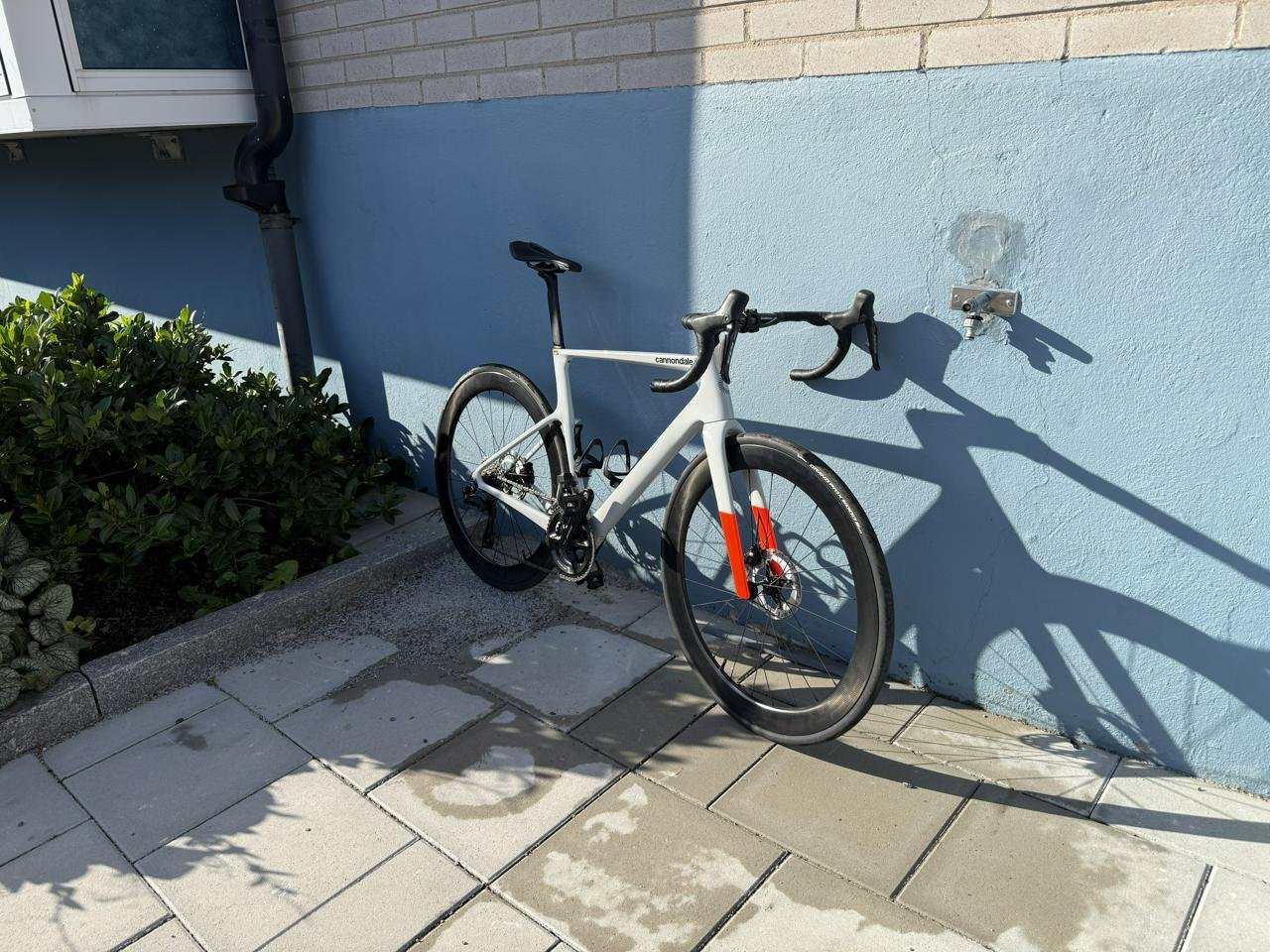 Cannondale evo3 105di2