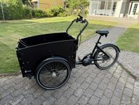Cargobike Electrical