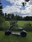 Fatboy Elscooter