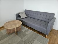 Bäddsoffa och soffbord