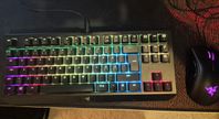 Razer tangentbord och mus