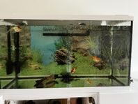 Aquarium