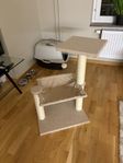 Klösträd Katt
