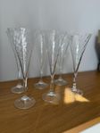 Orrefors Helena Champagneglas - 6 st