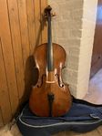 Cello - Stentor Student 1 Cello storlek 1/2