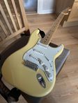 Fender stratocaster player