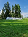 Hö/Hösilage i Rundbal