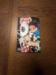 Demon slayer manga kapitel 1