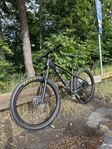 TREK roscoe 7