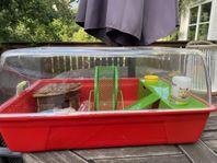 hamsterbur med tillbehör