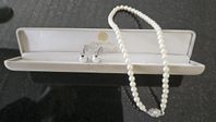 halsband med örhängen