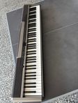 casio privia px 320