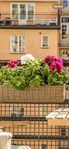 Två blomlådor
