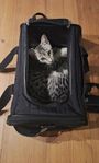 Mysigt Sherpa Original Pet Carrier Small