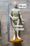 Akupunkturdocka (man)