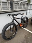 Diamant Mammut F4