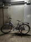 DBS 24” Flickcykel
